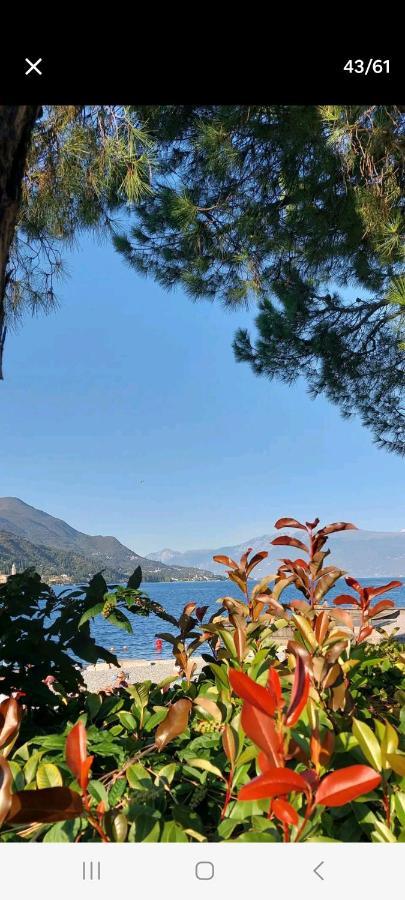 Antica Dimora Daire San Felice del Benaco Dış mekan fotoğraf